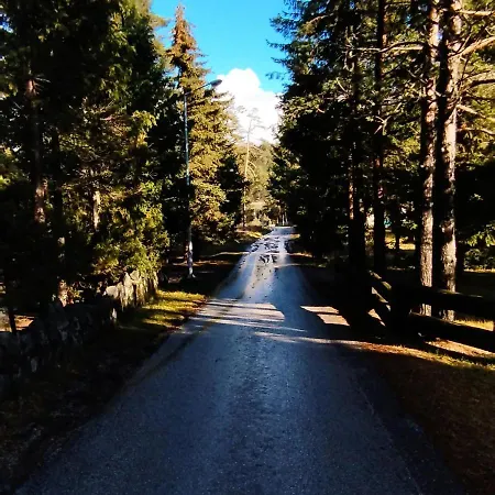 Holiday home Bajin Dobroselica